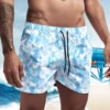 LOUIS VUITTON Summer Shorts Limited Edition 2025 LUX-STK-0XY1NKRDF