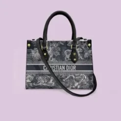 Limited Edition Christian DIOR Leather Handbag For WOMEN MRS-F76B-W00011